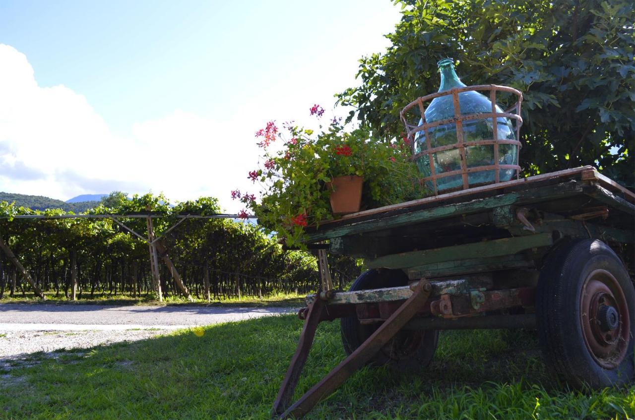 Ca Ulivi Bed & Breakfast Ala Luaran gambar